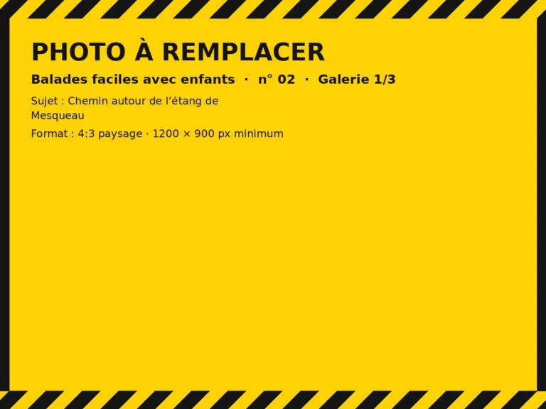 Photo à remplacer