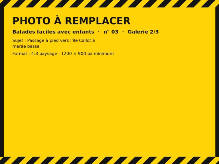 Photo à remplacer