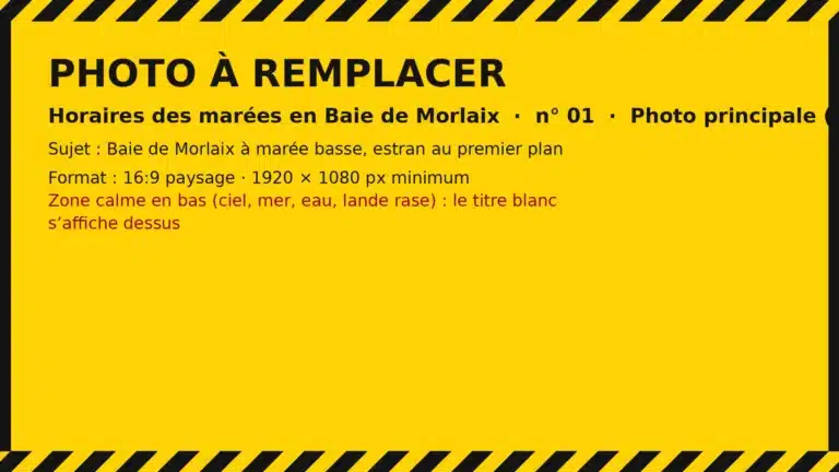 Photo à remplacer
