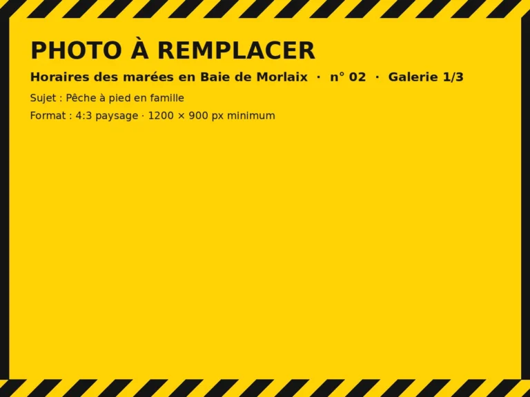 Photo à remplacer