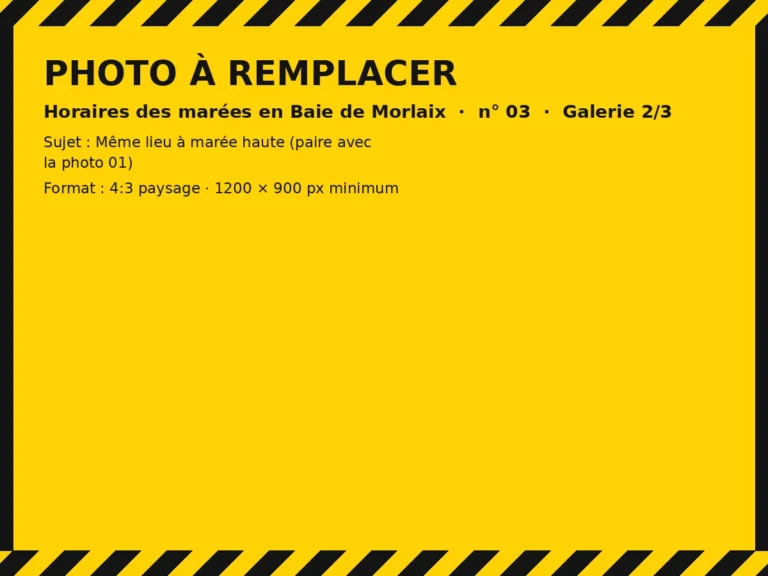Photo à remplacer