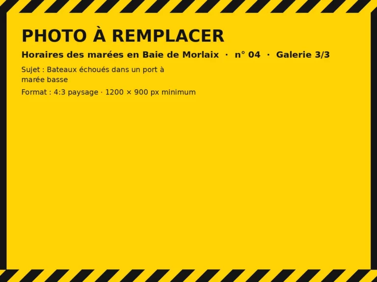 Photo à remplacer