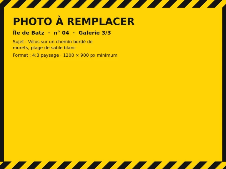 Photo à remplacer