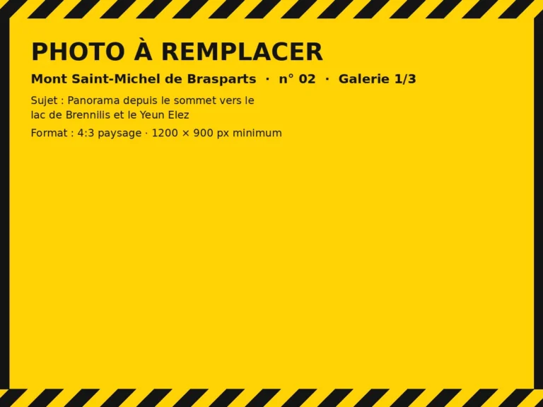 Photo à remplacer