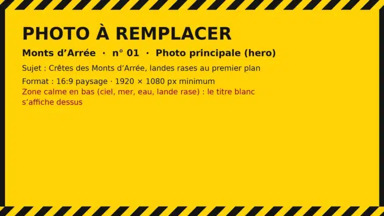 Photo à remplacer