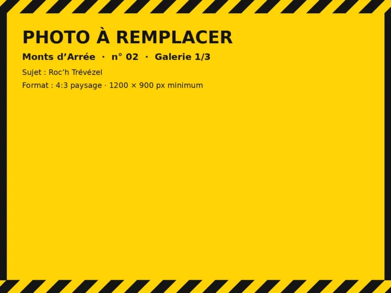 Photo à remplacer