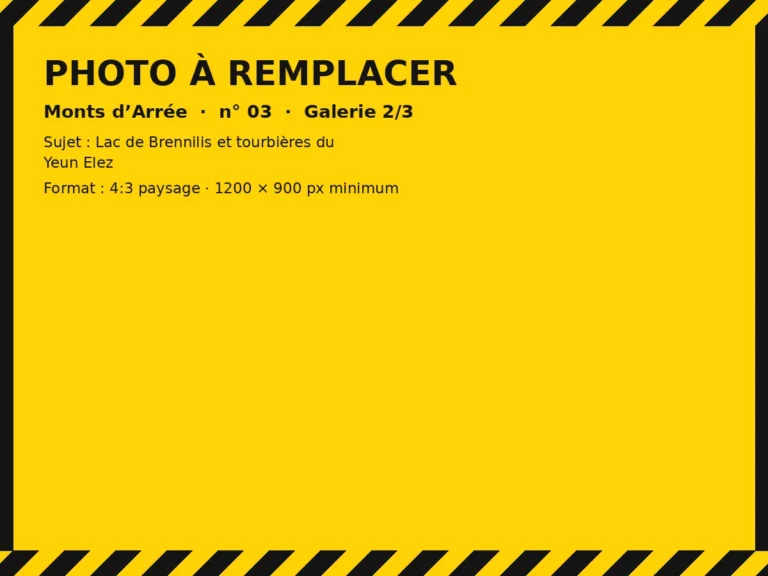 Photo à remplacer